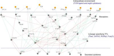 A Mechanistic Computational Model Reveals That Plasticity of CD4+ T Cell Differentiation Is a Function of Cytokine Composition and Dosage